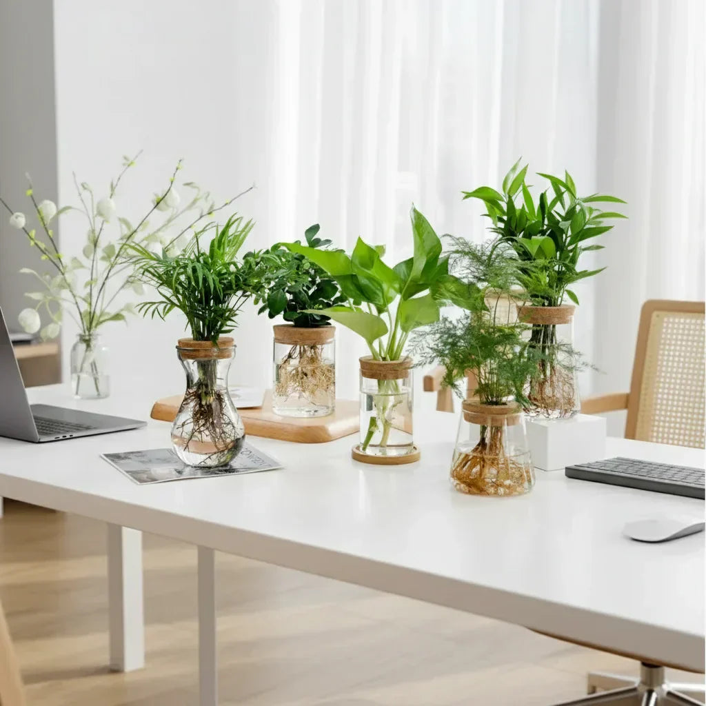 Pot hydroponique en verre et bois pour plantes
