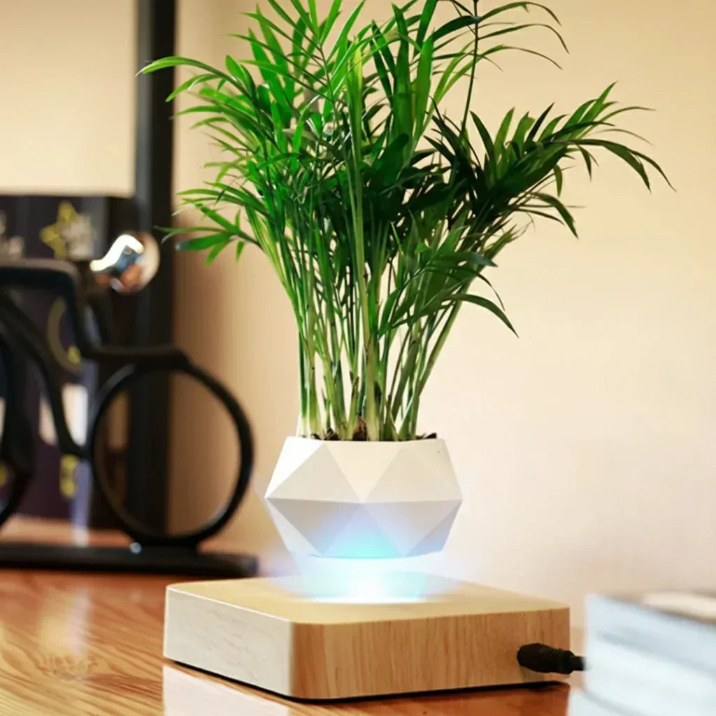 Pot magnetique pour plante decoration